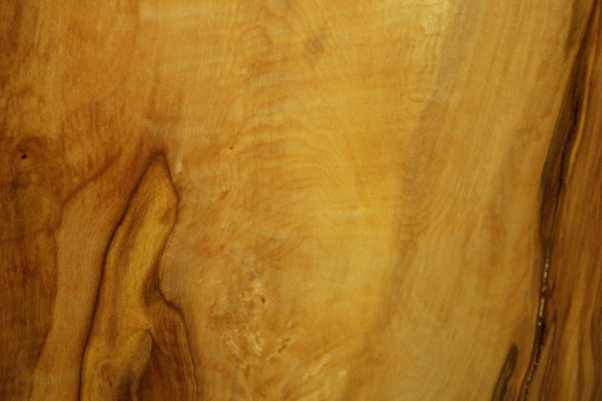 Foto 1: Il legno dell'ippocastano